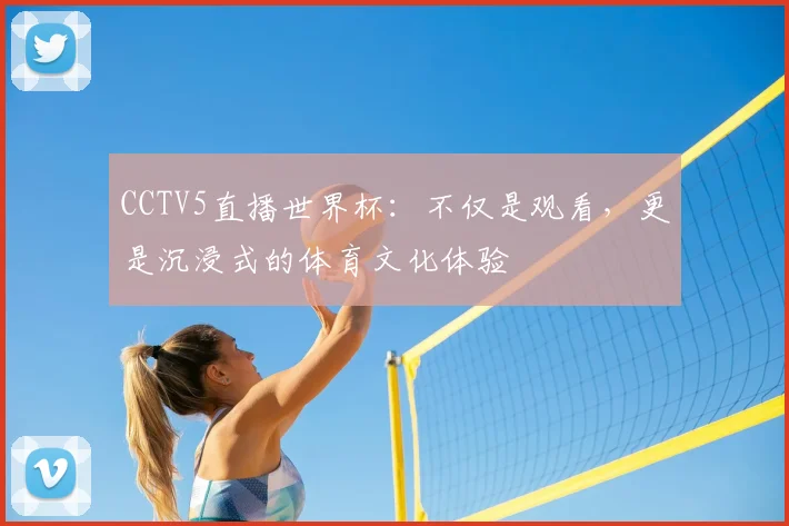 CCTV5直播世界杯：不仅是观看，更是沉浸式的体育文化体验