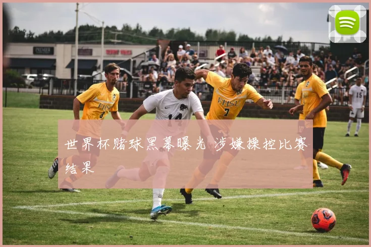 世界杯赌球黑幕曝光 涉嫌操控比赛结果