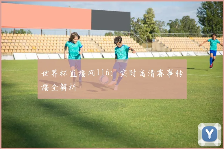 世界杯直播网116:实时高清赛事转播全解析