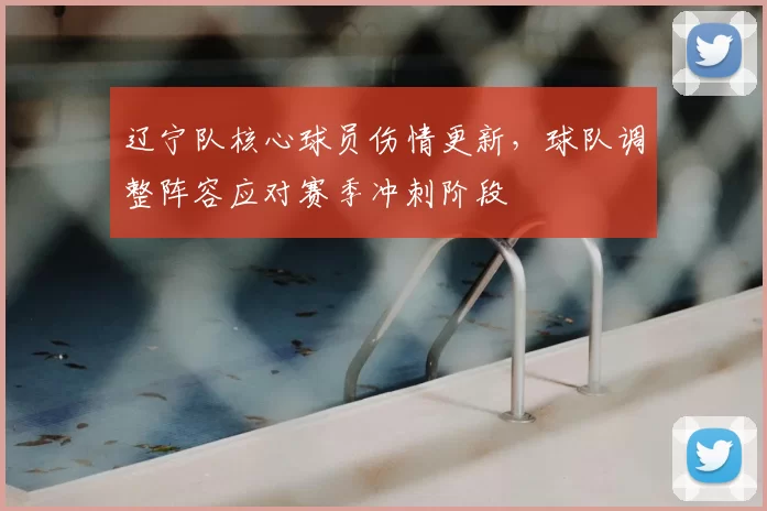 辽宁队核心球员伤情更新，球队调整阵容应对赛季冲刺阶段