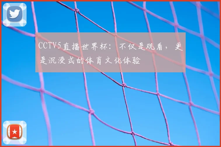 CCTV5直播世界杯：不仅是观看，更是沉浸式的体育文化体验