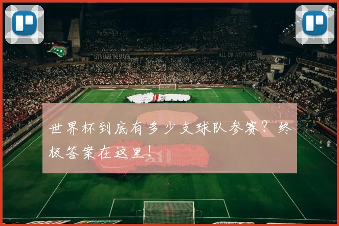 世界杯到底有多少支球队参赛？终极答案在这里！