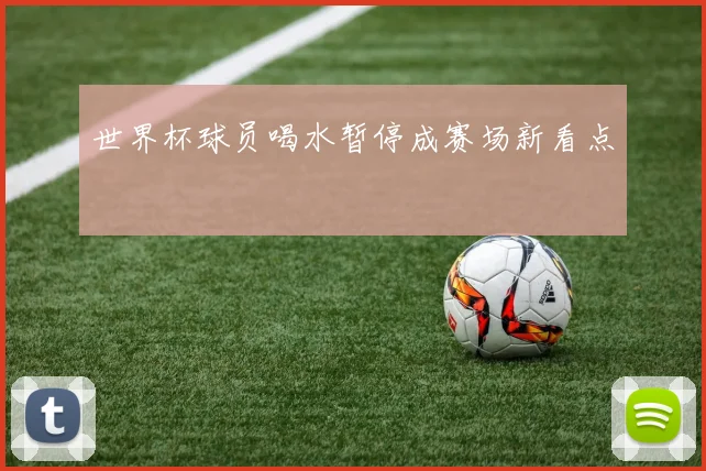 世界杯球员喝水暂停成赛场新看点