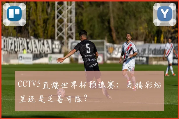 CCTV5直播世界杯预选赛：是精彩纷呈还是乏善可陈？