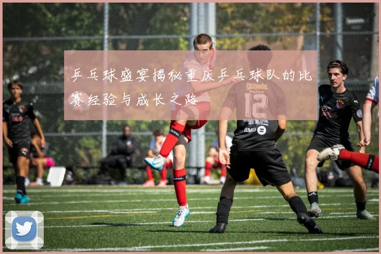 乒乓球盛宴揭秘重庆乒乓球队的比赛经验与成长之路
