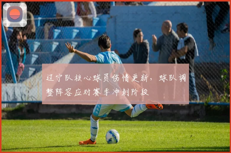 辽宁队核心球员伤情更新，球队调整阵容应对赛季冲刺阶段