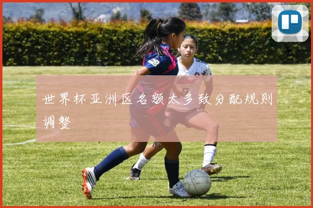 世界杯亚洲区名额太多致分配规则调整